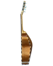 2025 Omar Olague Vihuela