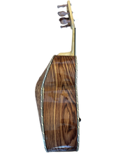 2025 Pedro Lemus Guitarron