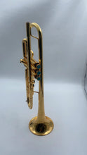 Draco 5 Star by Mandala Trumpet