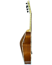 2025 Vihuela by Jorge Ramirez Vargas