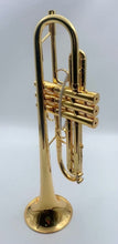 Draco 5 Star by Mandala Trumpet