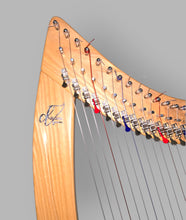 Dukona Muses 22-strings Harp