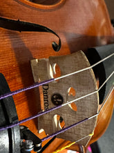 Danross Private Collection Violin