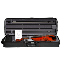 Revelle Model 600 Violin Outfit