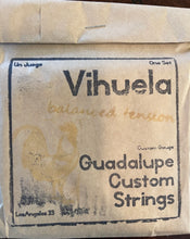 Vihuela Strings by Guadalupe Custom Strings