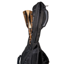 Reinforced Vihuela Case