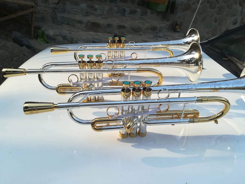 Draco 5 Star by Mandala Trumpet