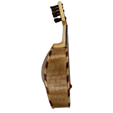 Mini Scale Guitarrón