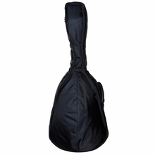 Reinforced Vihuela Case